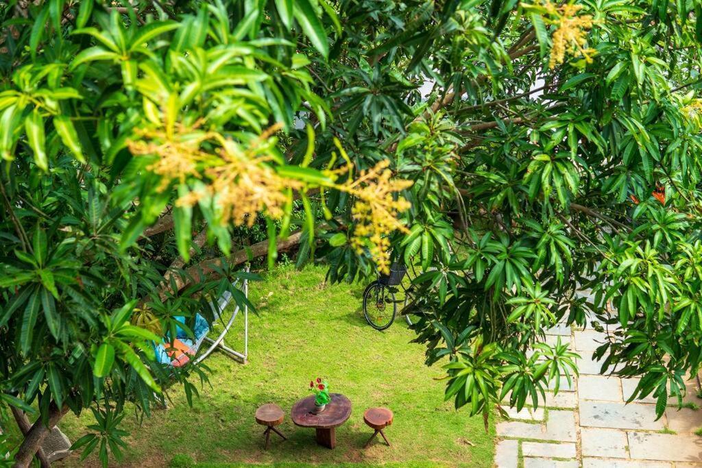 Flora Villa Hoi An Exteriör bild
